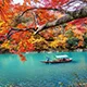 雷竞技